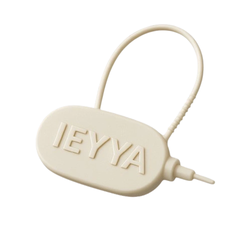 One Time Plastic Lock